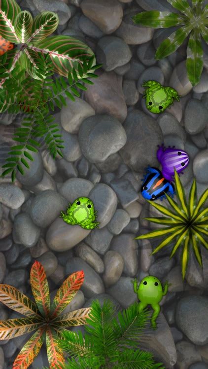 Pocket Frogs: Tiny Pond Keeper .